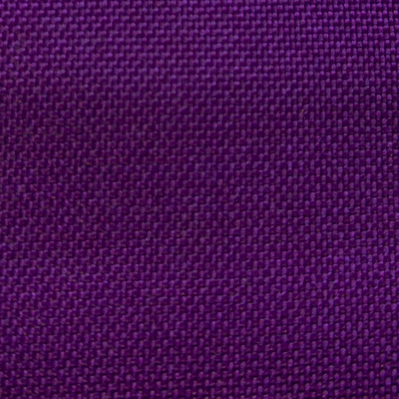 Rainy Plum
